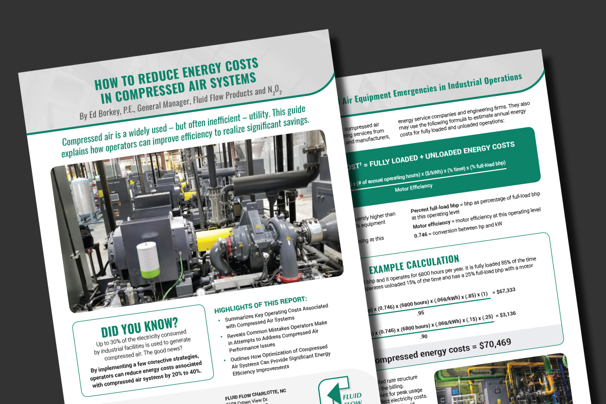 Download Our Free Guide for Ways to Reduce Compressed Air Energy Costs